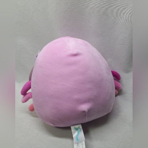 Squishmallow 8" Cailey Crab Valentine "You've Grabbed My Heart" Plush Toy NEW - Picture 4 of 5